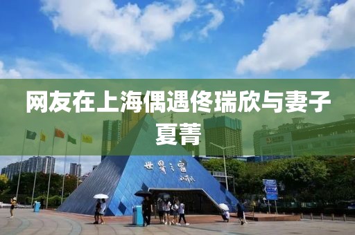 网友在上海偶遇佟瑞欣与妻子夏菁
