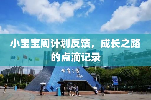 小宝宝周计划反馈，成长之路的点滴记录