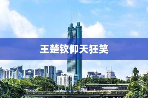 王楚钦仰天狂笑