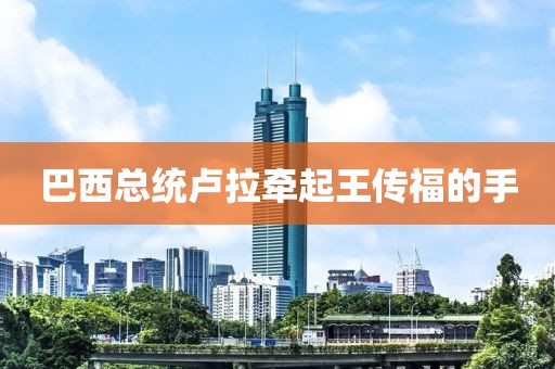 巴西总统卢拉牵起王传福的手