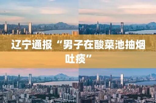 辽宁通报“男子在酸菜池抽烟吐痰”