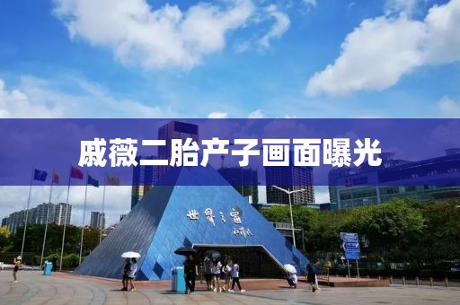 戚薇二胎产子画面曝光
