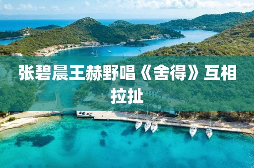 张碧晨王赫野唱《舍得》互相拉扯