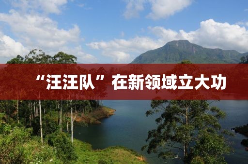 “汪汪队”在新领域立大功