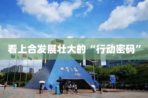 看上合发展壮大的“行动密码”