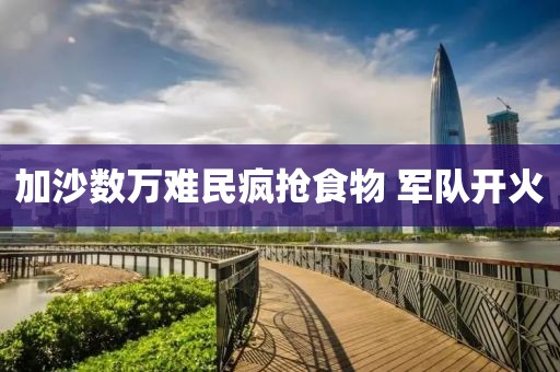 加沙数万难民疯抢食物 军队开火