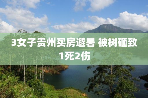 3女子贵州买房避暑 被树砸致1死2伤