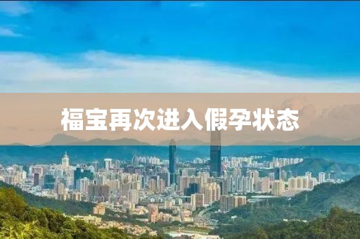 福宝再次进入假孕状态