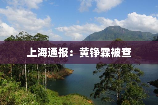上海通报：黄铮霖被查