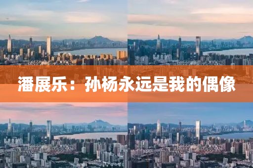 潘展乐：孙杨永远是我的偶像