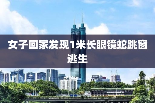 女子回家发现1米长眼镜蛇跳窗逃生