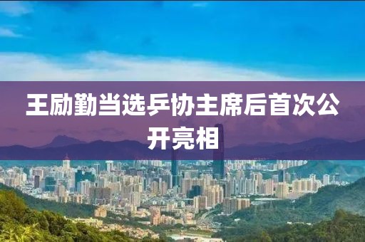 王励勤当选乒协主席后首次公开亮相
