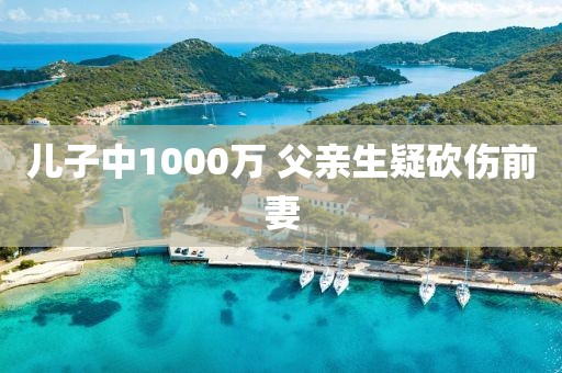 儿子中1000万 父亲生疑砍伤前妻
