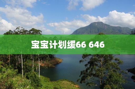 宝宝计划缓66 646