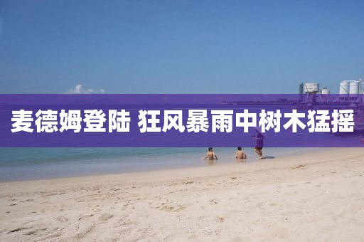 麦德姆登陆 狂风暴雨中树木猛摇