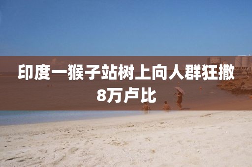 印度一猴子站树上向人群狂撒8万卢比