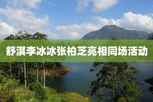 舒淇李冰冰张柏芝亮相同场活动