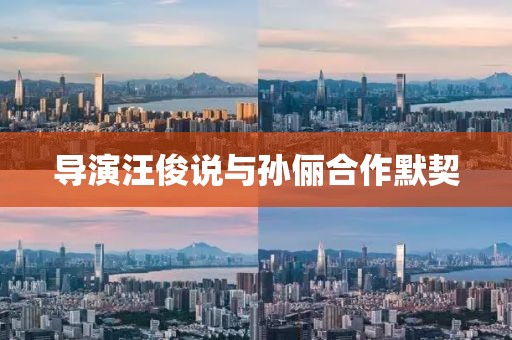 导演汪俊说与孙俪合作默契