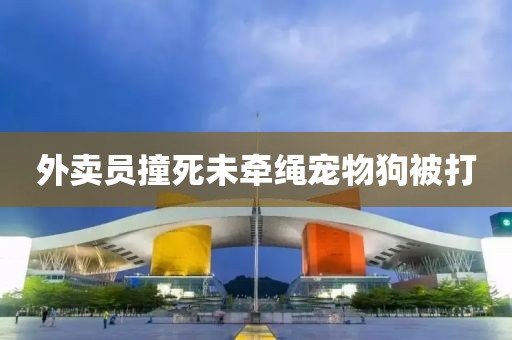 外卖员撞死未牵绳宠物狗被打