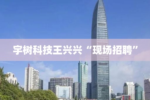 宇树科技王兴兴“现场招聘”