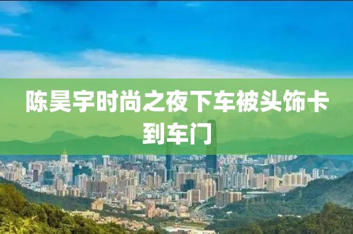 陈昊宇时尚之夜下车被头饰卡到车门
