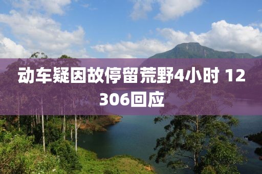 动车疑因故停留荒野4小时 12306回应