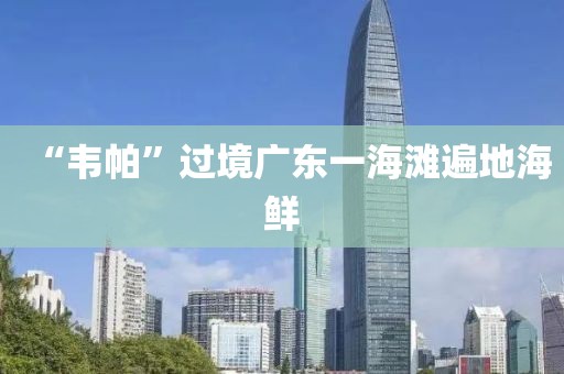 “韦帕”过境广东一海滩遍地海鲜
