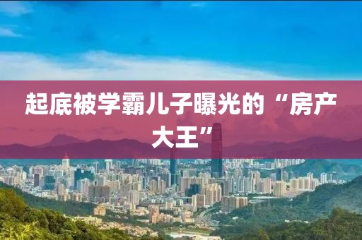 起底被学霸儿子曝光的“房产大王”