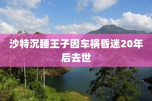 沙特沉睡王子因车祸昏迷20年后去世