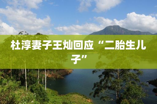 杜淳妻子王灿回应“二胎生儿子”