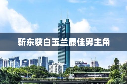 靳东获白玉兰最佳男主角