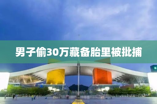 男子偷30万藏备胎里被批捕