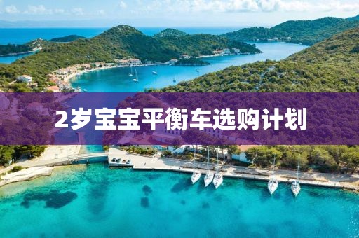 2岁宝宝平衡车选购计划