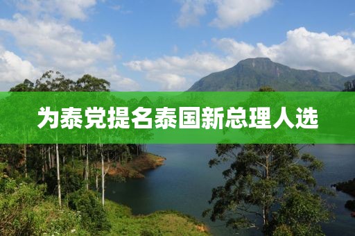 为泰党提名泰国新总理人选