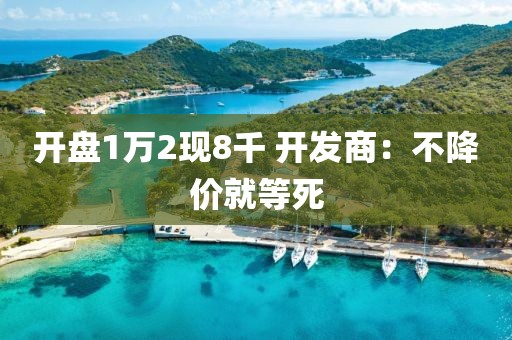 开盘1万2现8千 开发商：不降价就等死