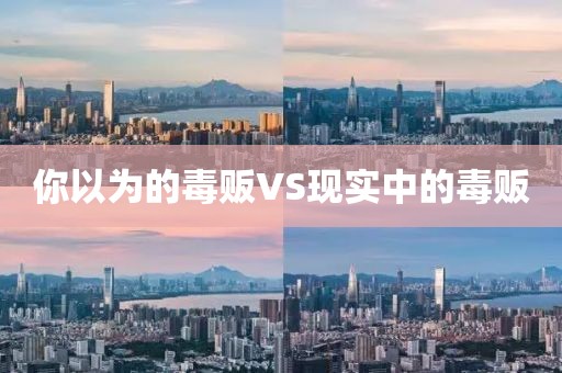 你以为的毒贩VS现实中的毒贩
