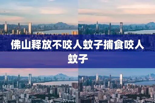 佛山释放不咬人蚊子捕食咬人蚊子