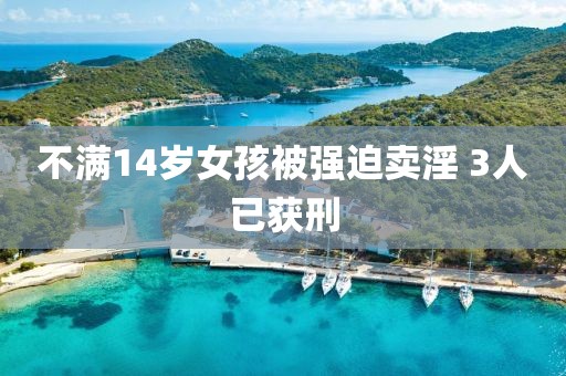 不满14岁女孩被强迫卖淫 3人已获刑