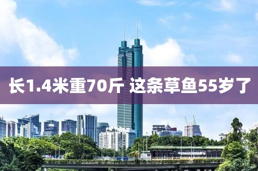长1.4米重70斤 这条草鱼55岁了