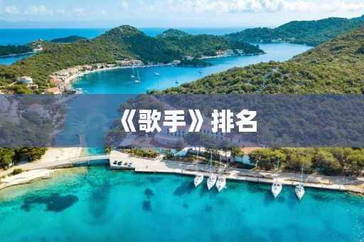 《歌手》排名