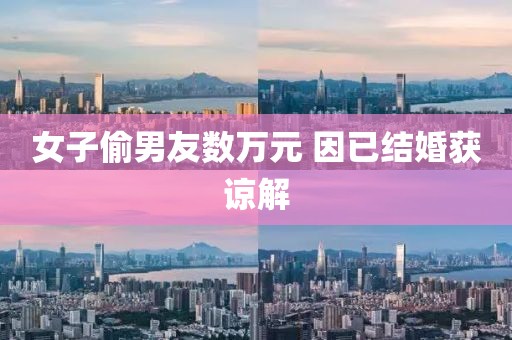 女子偷男友数万元 因已结婚获谅解
