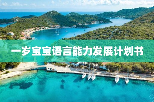 一岁宝宝语言能力发展计划书