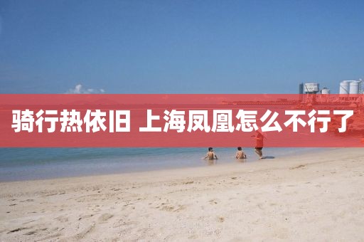 骑行热依旧 上海凤凰怎么不行了