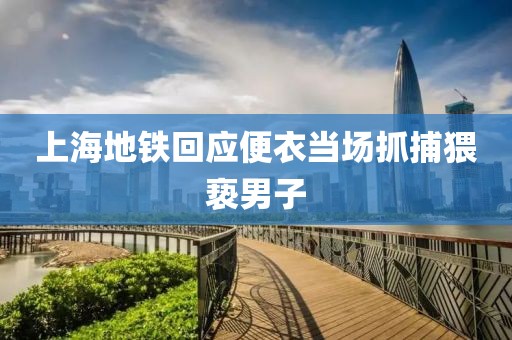 上海地铁回应便衣当场抓捕猥亵男子