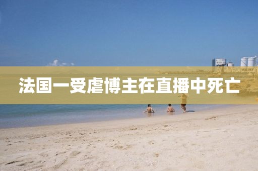 法国一受虐博主在直播中死亡