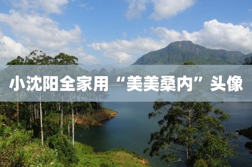 小沈阳全家用“美美桑内”头像