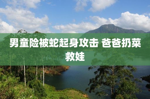 男童险被蛇起身攻击 爸爸扔菜救娃