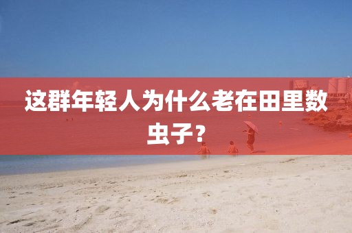 这群年轻人为什么老在田里数虫子?