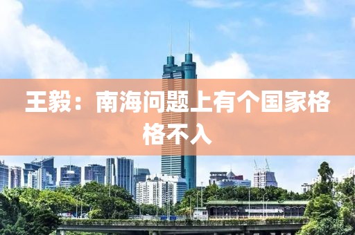 王毅：南海问题上有个国家格格不入