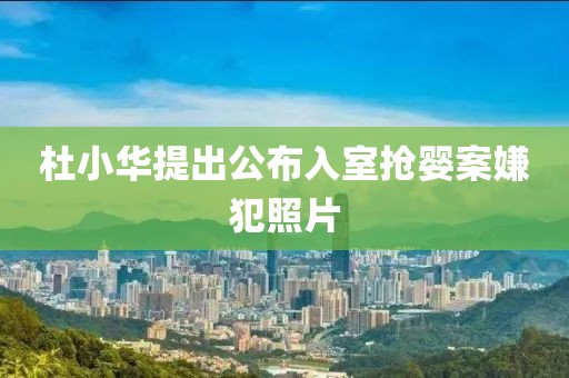 杜小华提出公布入室抢婴案嫌犯照片